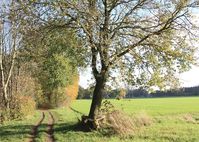 Ferienwohnung bei Bunsel´s