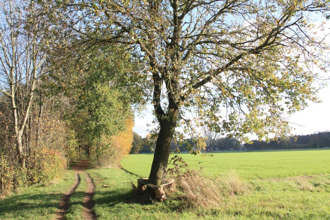 Bei Bunsel´s * Versmold